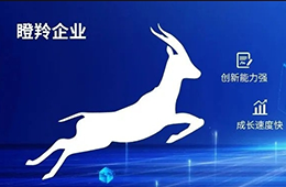 行而不輟 萬里可期—華耀致誠第三季度總結(jié)會